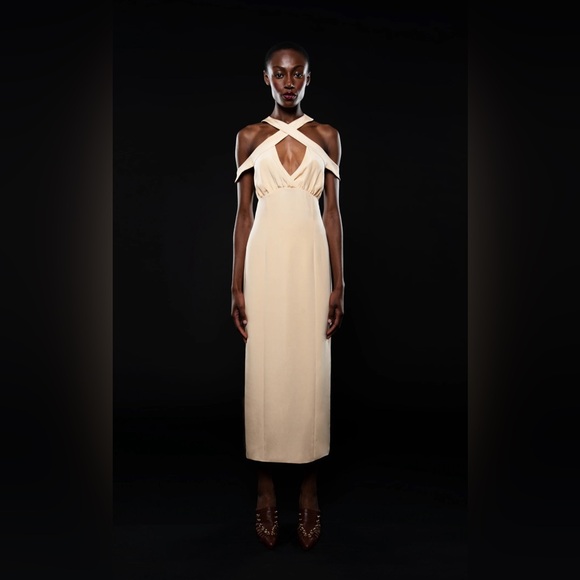 Vivienne Hu Dresses & Skirts - Vivienne Hu Runway Spring V-Neck CutOut Gown Dress Sz 4 Sexy Modern Timeless